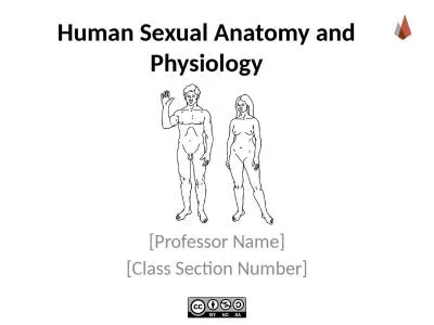 Human Sexual Anatomy and Physiology