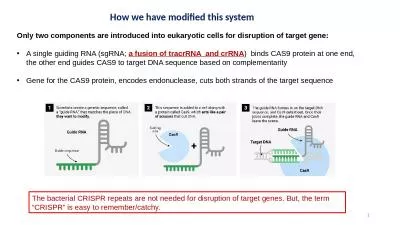 Only two components are introduced into eukaryotic cells for disruption of target gene: