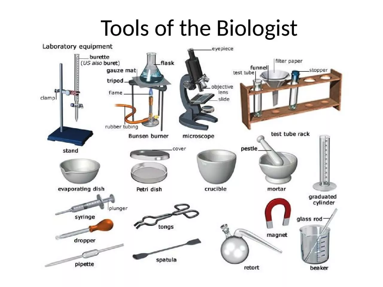 Tools of the Biologist In order to observe, discover, and explore, scientists use many