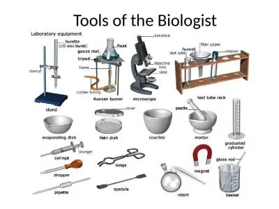 Tools of the Biologist In order to observe, discover, and explore, scientists use many different pi