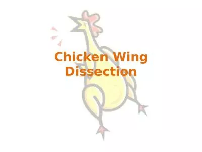 Chicken Wing Dissection Before you Begin