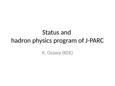 Status and  hadron   physics program