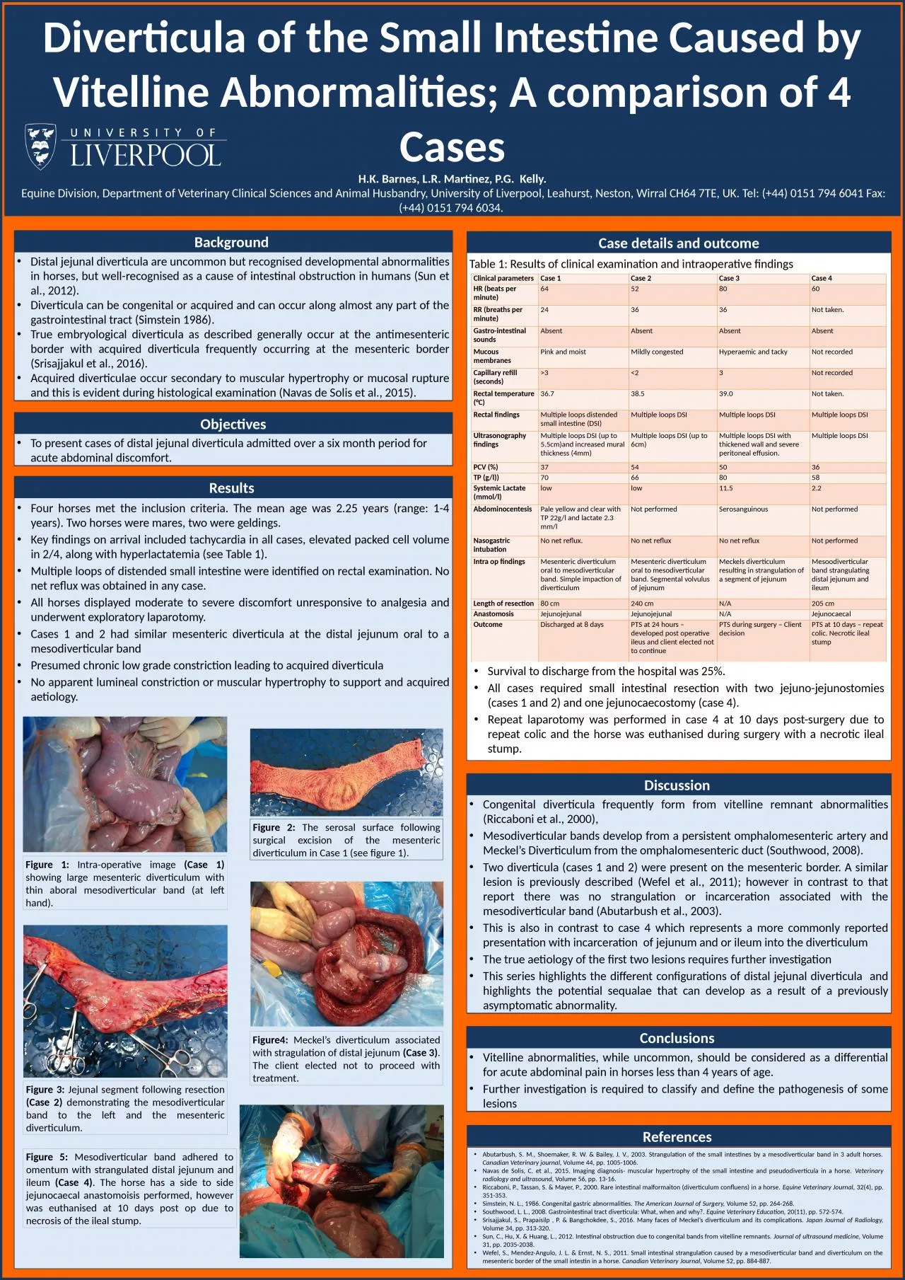 Diverticula of the Small Intestine Caused by Vitelline Abnormalities; A comparison of