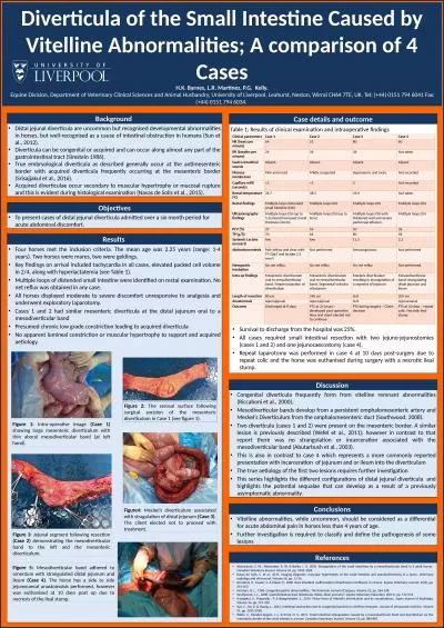 Diverticula of the Small Intestine Caused by Vitelline Abnormalities; A comparison of 4 Cases