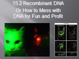 15.2 Recombinant DNA Or How to Mess with DNA for Fun and