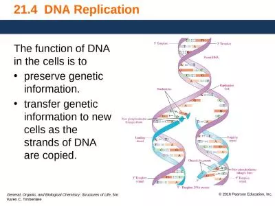 21.4  DNA Replication The function of DNA in the cells is to