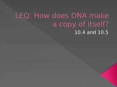 LEQ: How does DNA make a copy of itself?