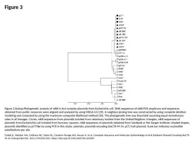 Figure 3 Figure 3.&nbsp;Phylogenetic analysis of nikB in IncI complex plasmids from Escherichia