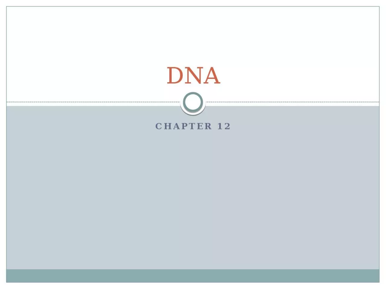 Chapter 12 DNA The Secret of Life