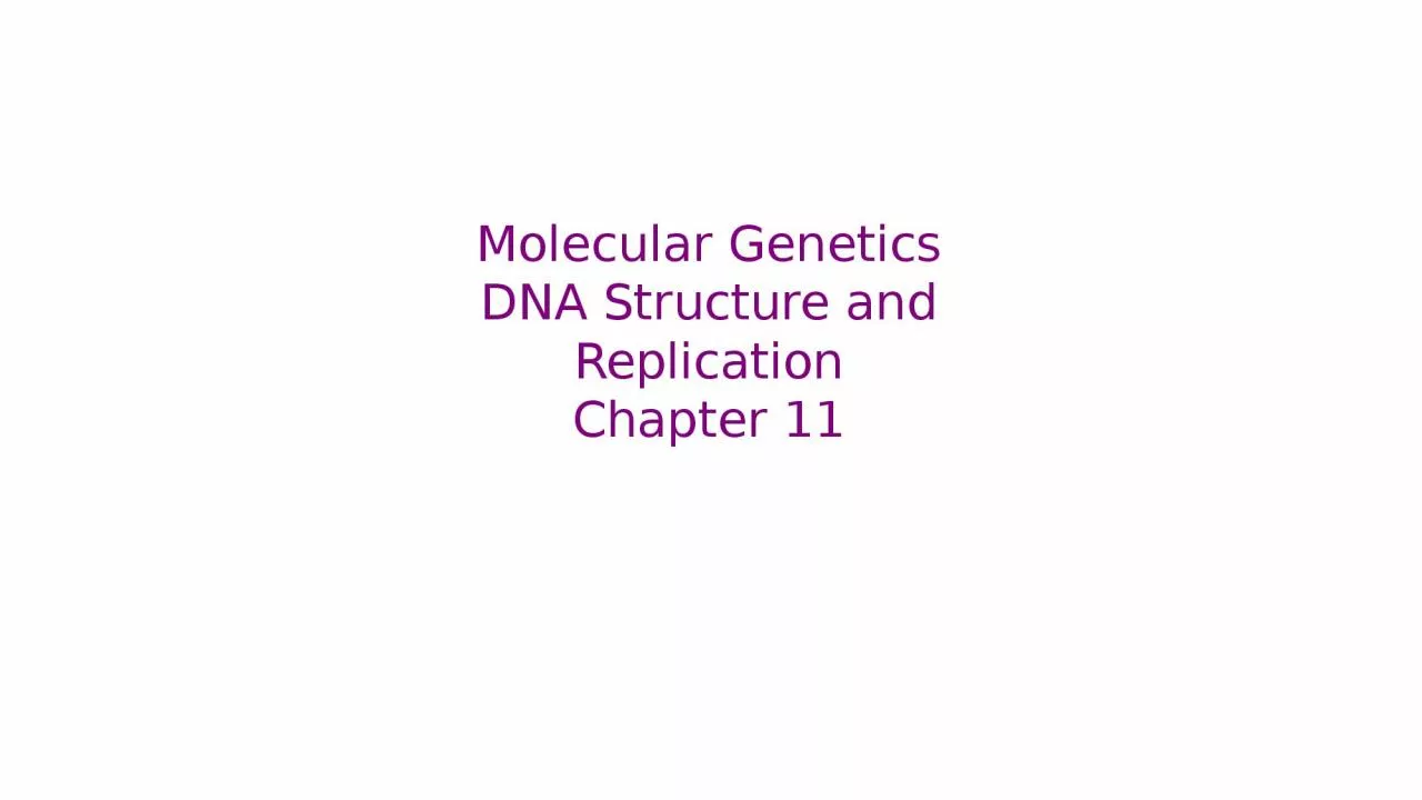Molecular  Genetics DNA