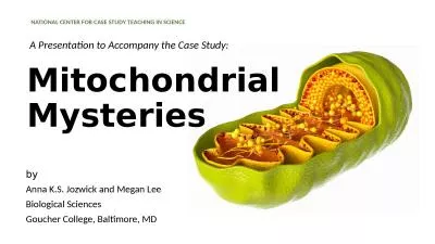 Mitochondrial  Mysteries