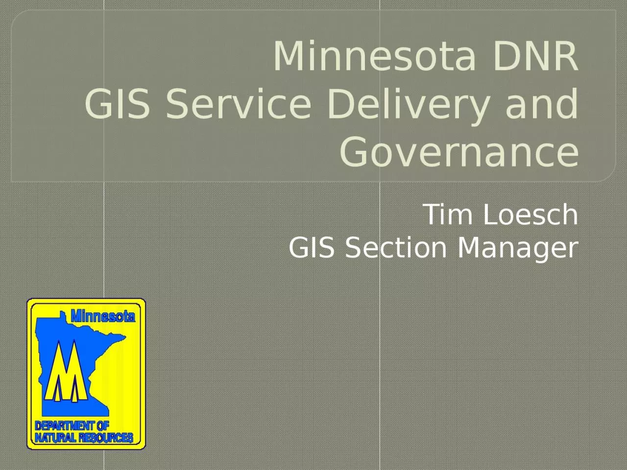 Minnesota DNR GIS Service Delivery and Governance