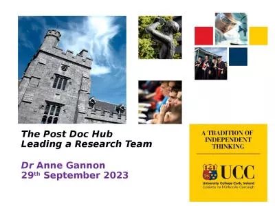 The Post Doc Hub Leading a Research Team