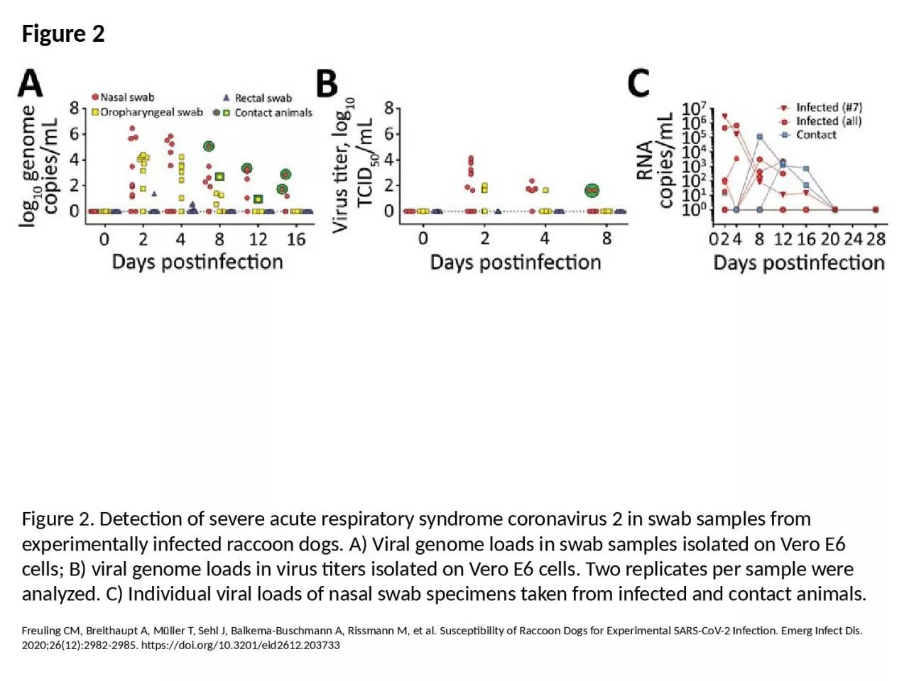 Figure 2 Figure 2. Detection of severe acute respiratory syndrome coronavirus 2 in swab