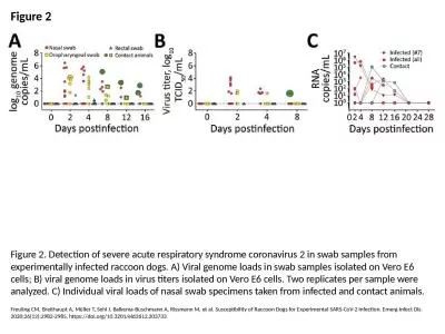 Figure 2 Figure 2. Detection of severe acute respiratory syndrome coronavirus 2 in swab samples fro