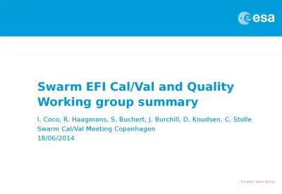 Swarm EFI Cal/Val and Quality Working group summary