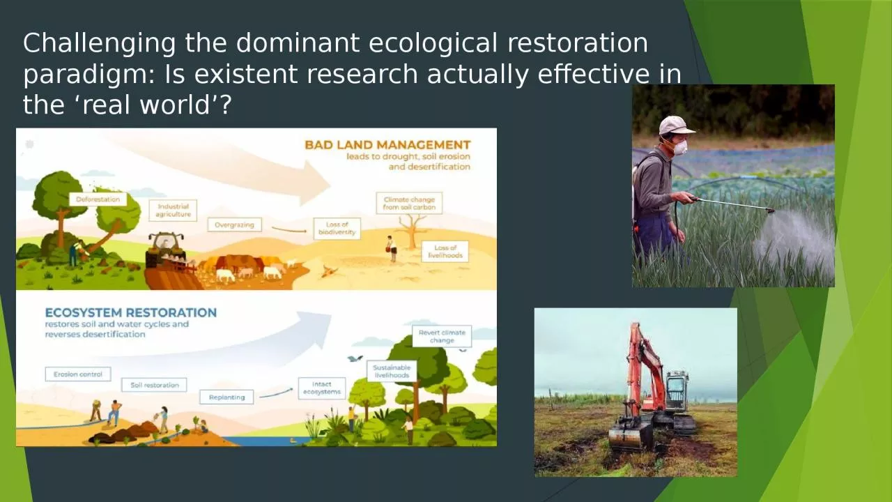 Challenging the dominant ecological restoration paradigm: Is existent research actually