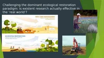 Challenging the dominant ecological restoration paradigm: Is existent research actually effective i