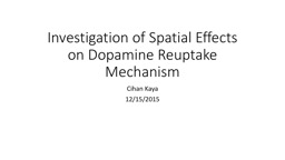 Investigation  of Spatial Effects on Dopamine Reuptake Mechanism