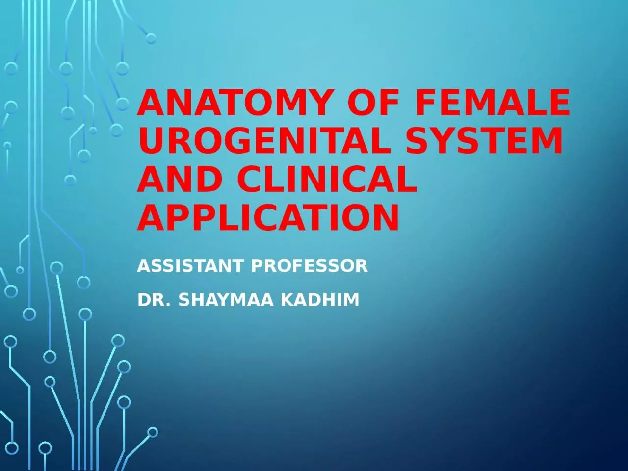 Anatomy of Female Urogenital System And Clinical Application