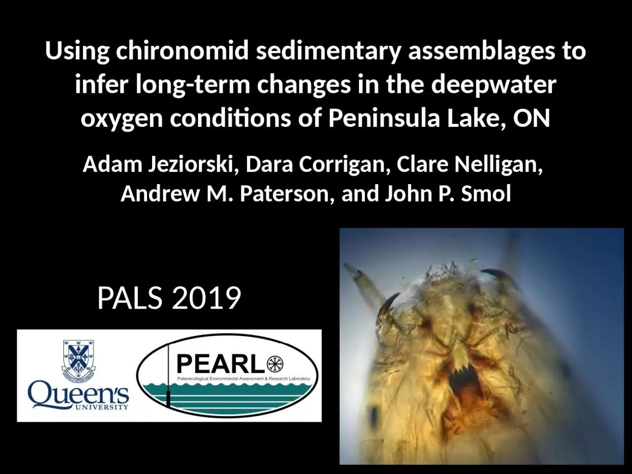 Using chironomid sedimentary assemblages to infer long-term changes in the deepwater oxygen