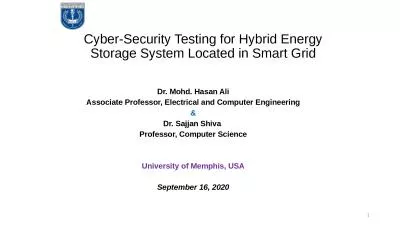 Cyber-Security Testing for Hybrid Energy Storage System Located in Smart Grid