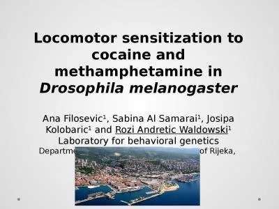 Locomotor sensitization to cocaine and methamphetamine in