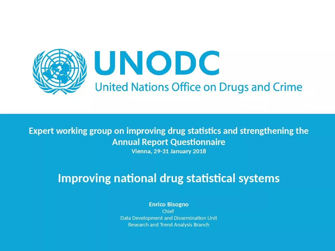 Expert  working group  on improving drug statistics and strengthening the Annual Report