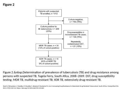 Figure 2 Figure 2.&nbsp;Determination of prevalence of tuberculosis (TB) and drug resistance am