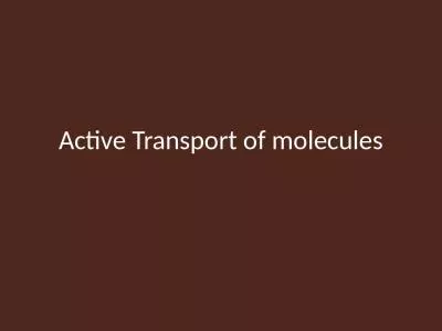 Active  Transport of molecules