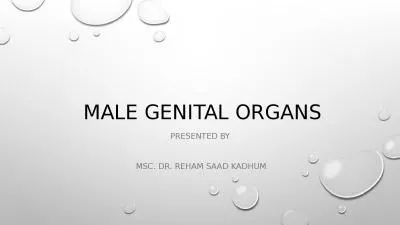 Male Genital organs  Presented by