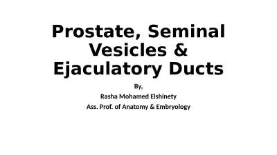 Prostate, Seminal Vesicles & Ejaculatory Ducts