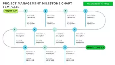 PROJECT MANAGEMENT MILESTONE CHART TEMPLATE