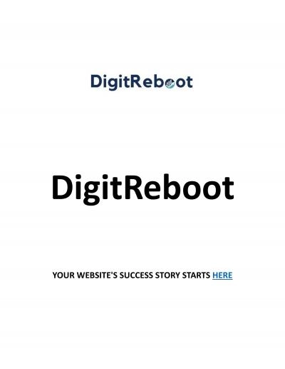 Increase website traffic | DigitReboot