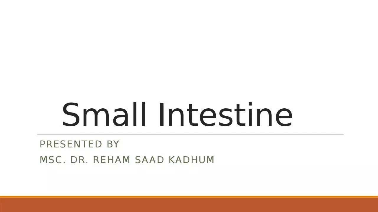 Small Intestine    Presented by