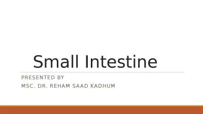 Small Intestine    Presented by