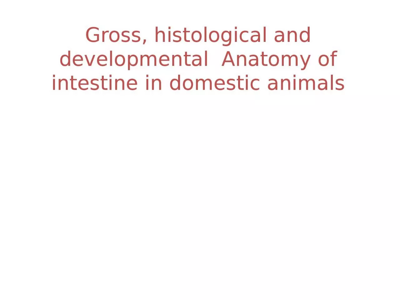 Gross, histological and developmental  Anatomy of intestine in domestic animals