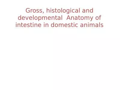 Gross, histological and developmental  Anatomy of intestine in domestic animals
