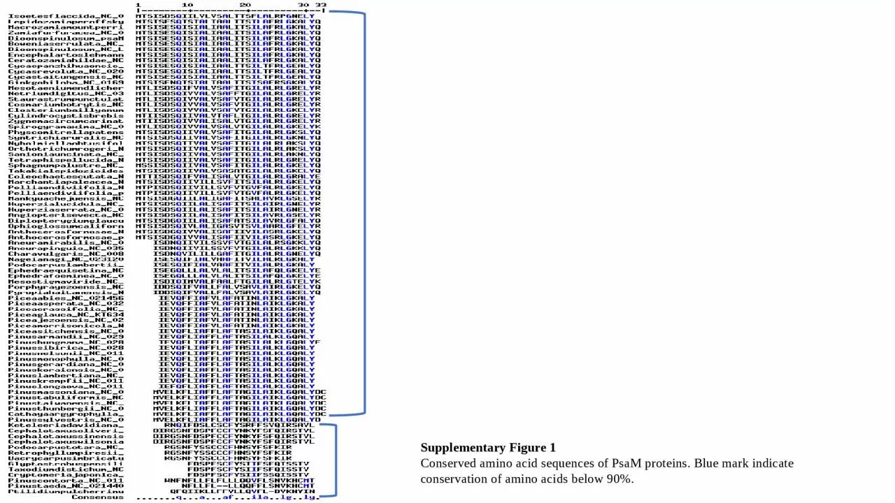 Supplementary Figure 1 Conserved amino acid sequences of