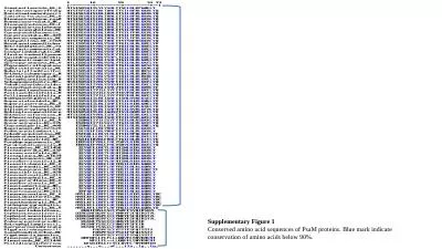 Supplementary Figure 1 Conserved amino acid sequences of