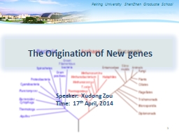 The Origination of New genes