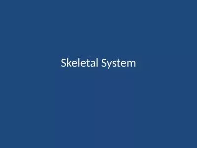 Skeletal System The skeletal system is composed of 206 bones.