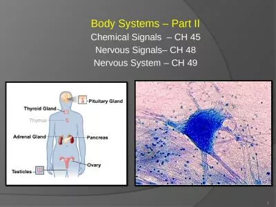 Body Systems – Part II