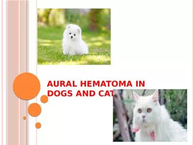 Aural Hematoma in Dogs and Cats