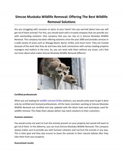 Simcoe Muskoka Wildlife Removal: Offering The Best Wildlife Removal Solutions