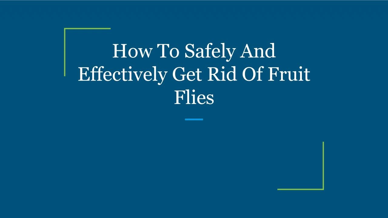 How To Safely And Effectively Get Rid Of Fruit Flies