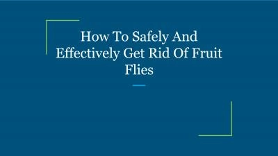 How To Safely And Effectively Get Rid Of Fruit Flies