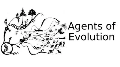 Agents of Evolution Macroevolution			           Microevolution