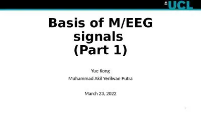 Basi s  of M /E EG signals