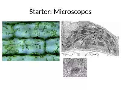 Starter: Microscopes Block 1A - Cell structure 2.1.1